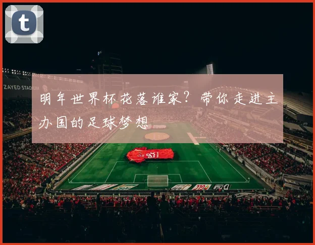 明年世界杯花落谁家?带你走进主办国的足球梦想