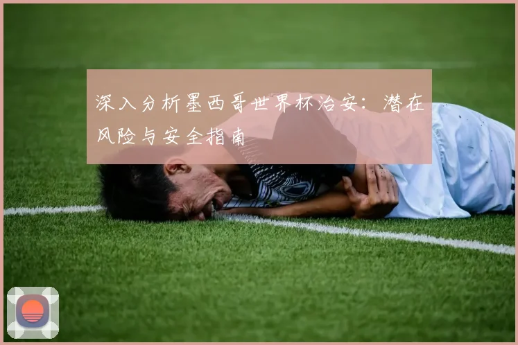 深入分析墨西哥世界杯治安：潜在风险与安全指南