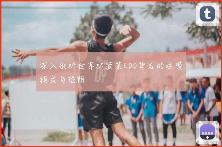 深入剖析世界杯菠菜app背后的运营模式与陷阱