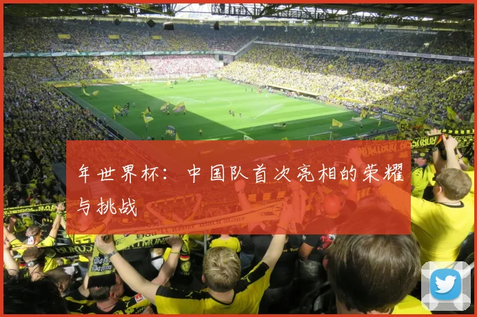年世界杯:中国队首次亮相的荣耀与挑战