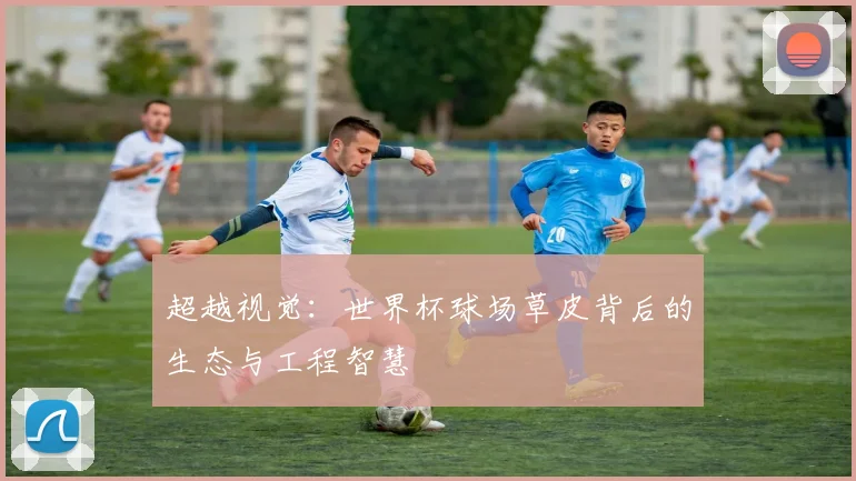 超越视觉：世界杯球场草皮背后的生态与工程智慧
