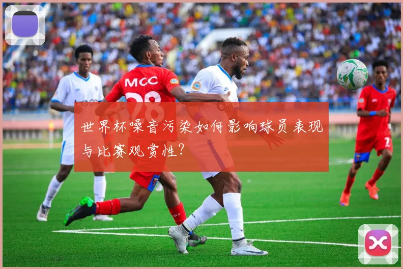 世界杯噪音污染如何影响球员表现与比赛观赏性？
