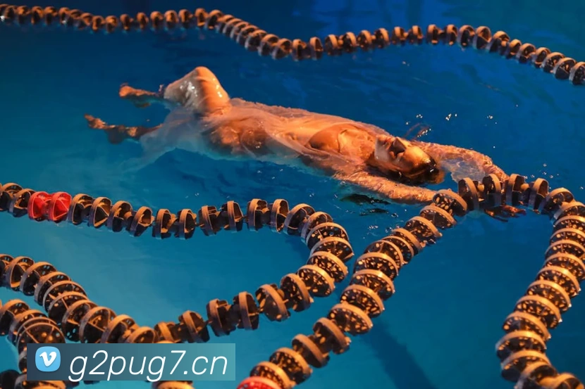 星空网官网登录入口APP 封面图